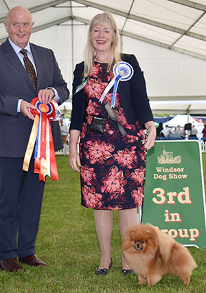 Mrs A Cawthera-Purdy Ch Reta Hugo's There Lireva with group judge Mr D Guy