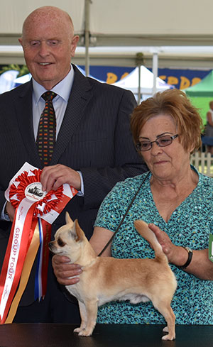 Mrs B Sutton Now Or Never De L'isle Au Vert Coteau Nikitos (Imp) with group judge Mr D Guy 