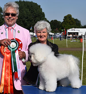 Mr & Mrs A G Iles Ir Ch Hylacer Just One Look at Alareen with veteran group judge Mr S Band