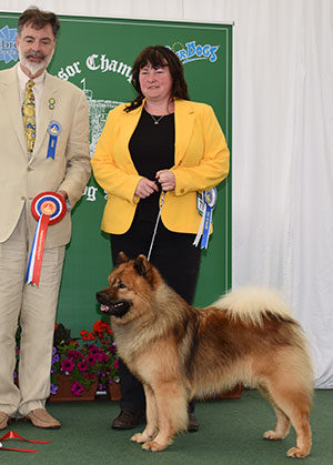 Miss S Watkins Albionspitz Blue Moon with group judge Mr P Young 