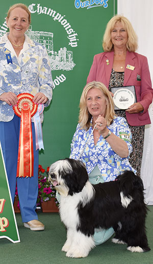 Miss C A Rose-Dawson & Mr A Barron Sanchara Ignite The Light At Araki with puppy group judge Mrs M Purnell-Carpenter & Mrs S Wilkinson (Committee)