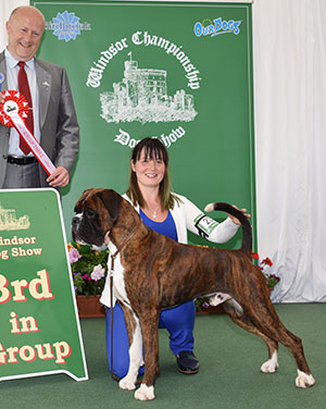 Mr G & Mrs L Brough & Mrs L Cairns Galicar Investigating With Limubox JW with group judge Mr P Lawless